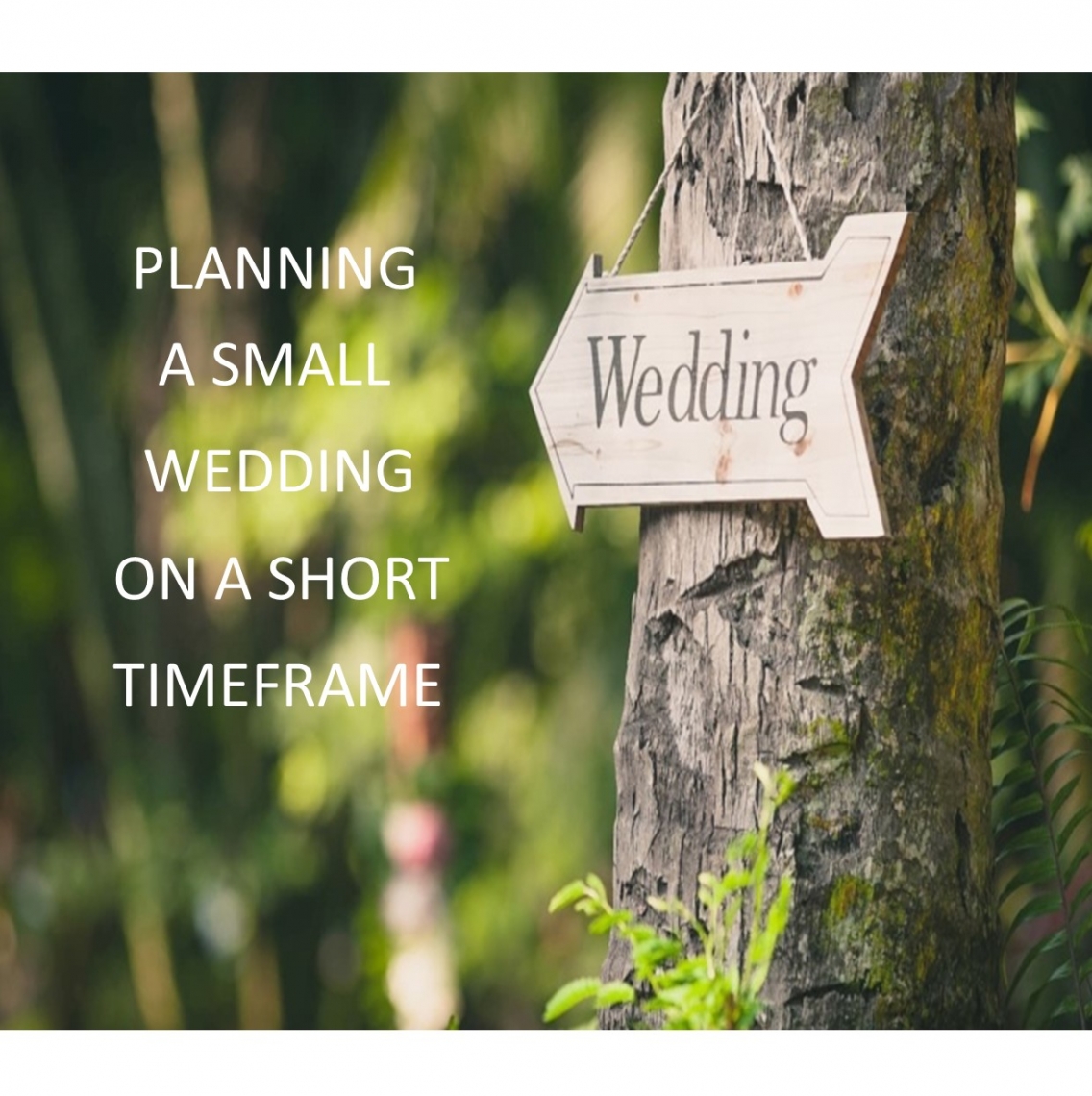PLANNING A SMALL WEDDING ON A SHORT TIMEFRAME